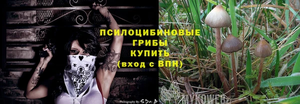 прущие крисы Алексин